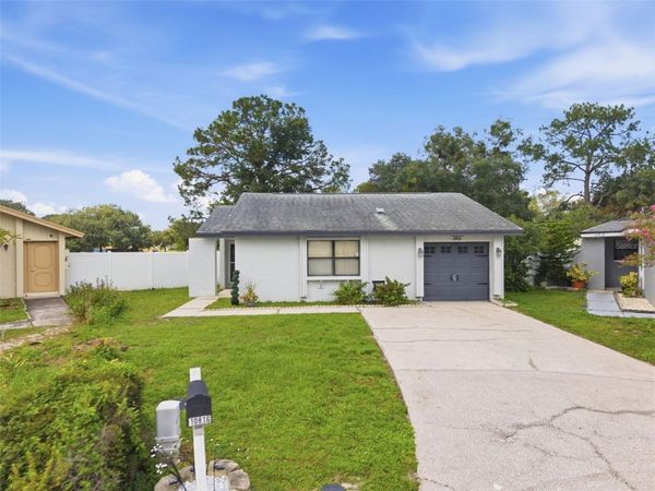 10816 FAIRFIELD VILLAGE DRIVE , TAMPA, FL 33624