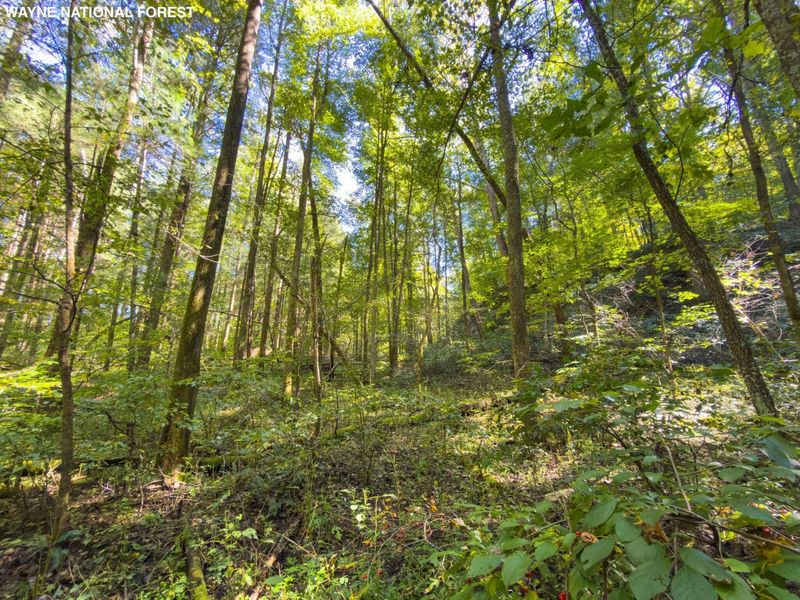6325 County Rd 12 , Shawnee, OH 43782 Photo 20