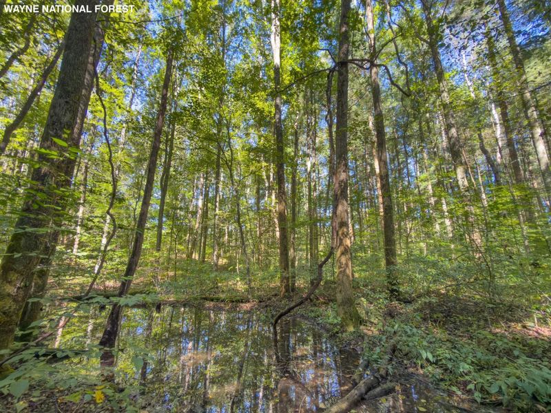 6325 County Rd 12 , Shawnee, OH 43782 Photo 21