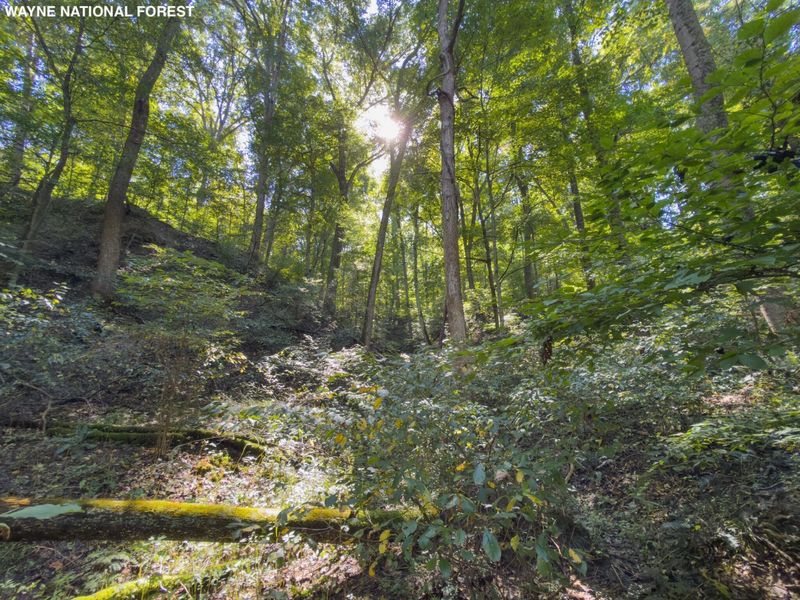 6325 County Rd 12 , Shawnee, OH 43782 Photo 22
