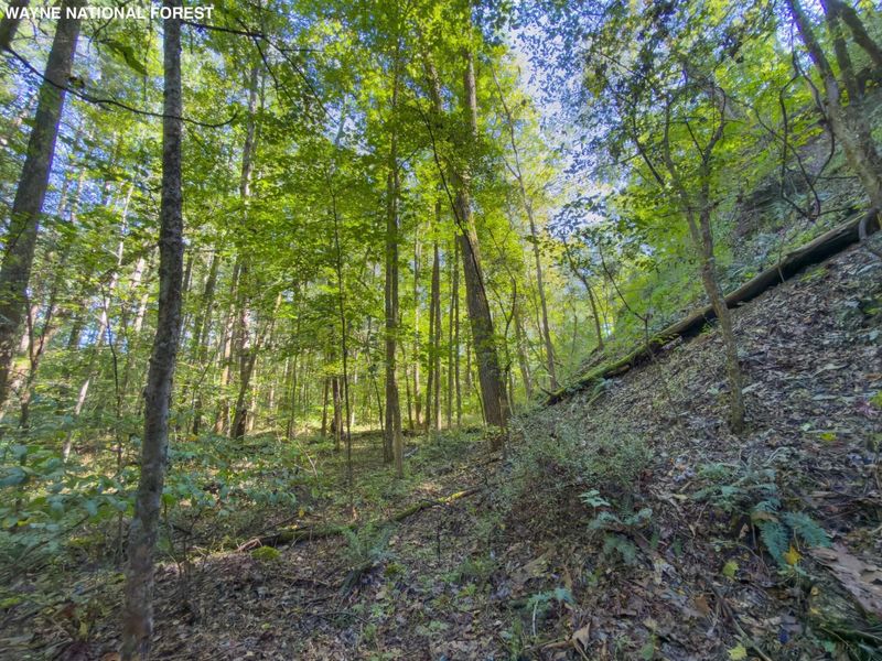 6325 County Rd 12 , Shawnee, OH 43782 Photo 24