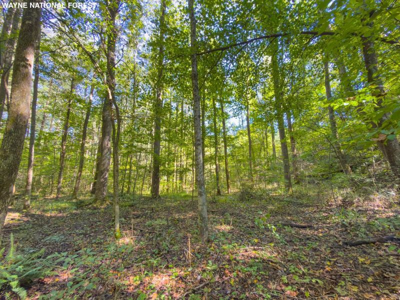 6325 County Rd 12 , Shawnee, OH 43782 Photo 27