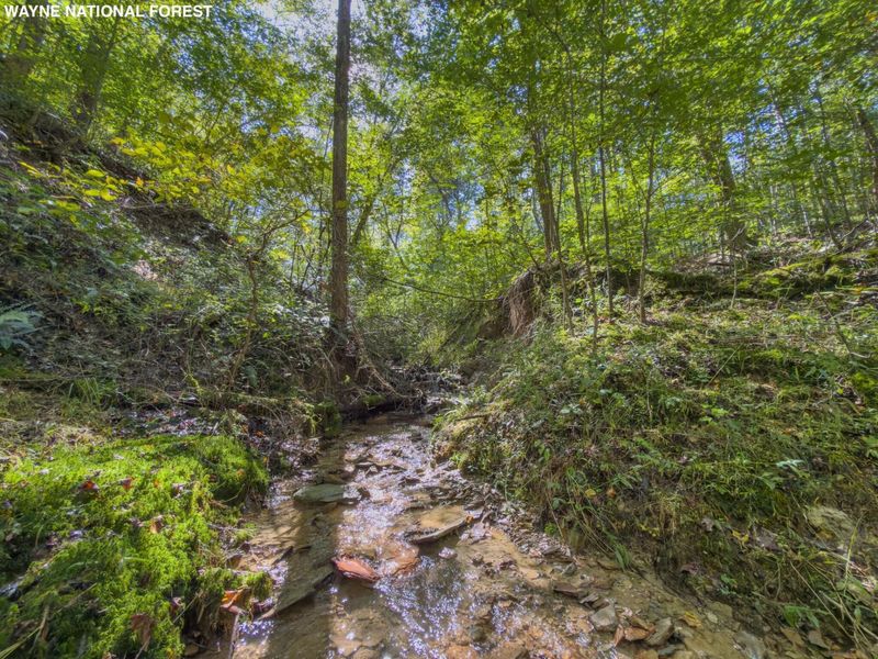 6325 County Rd 12 , Shawnee, OH 43782 Photo 31