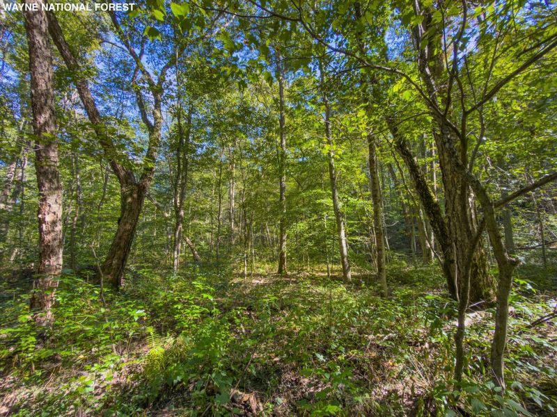 6325 County Rd 12 , Shawnee, OH 43782 Photo 33