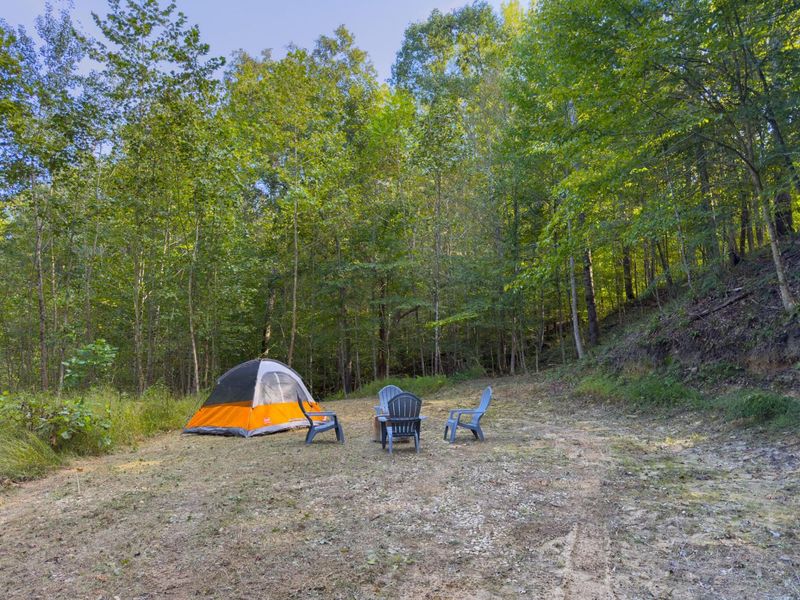 6325 County Rd 12 , Shawnee, OH 43782 Photo 8
