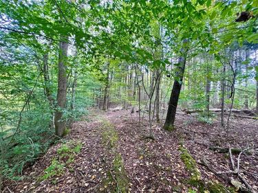 East Road , Angelica, NY 14709
