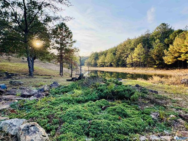 505 Road 9002, Mentone, AL 35984