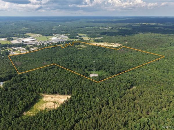 0000 Lonestar Dr , Hamilton, AL 35570