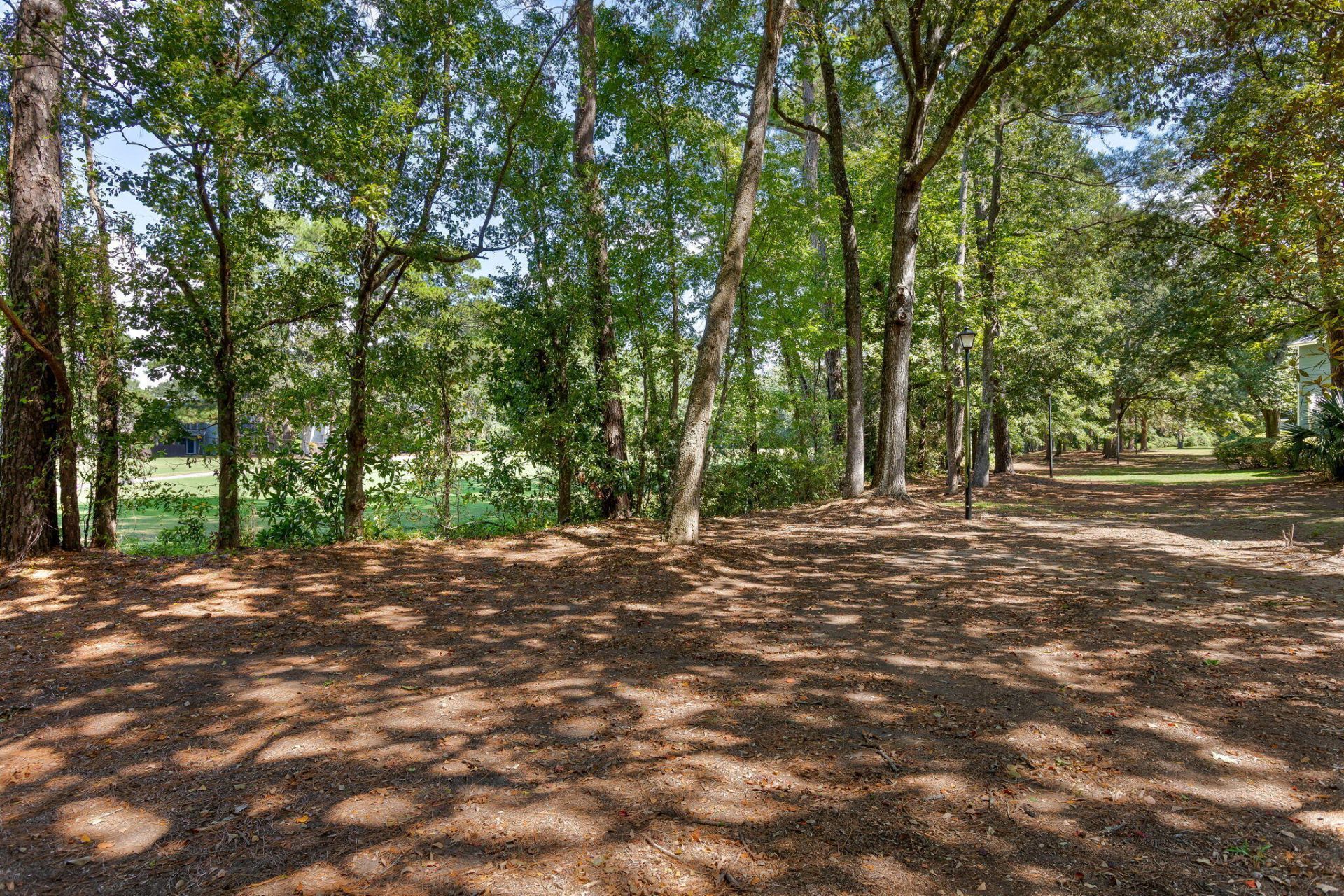 1713 Greystone Photo 17