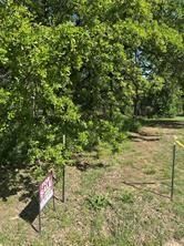 0000 Cove Drive, Shady Shores, TX 76208 Main Photo