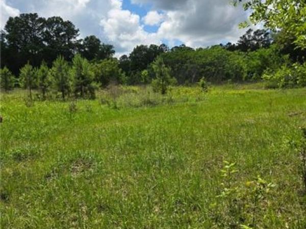 21340 N TAYLOR Road , Bush, LA 70431