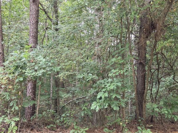 2678 Sleepy Hollow Road, Monroe, GA 30655