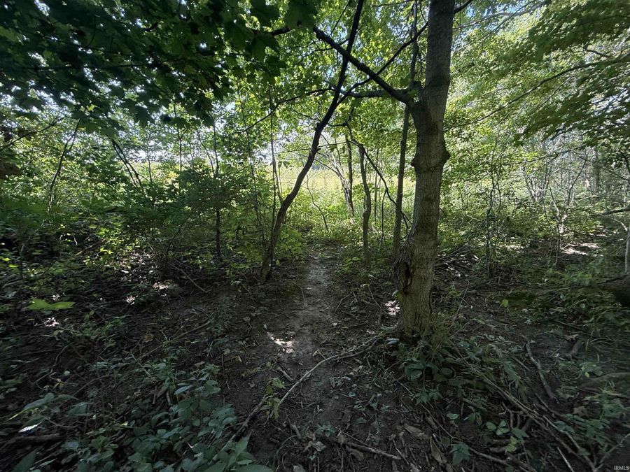 Property Image 28