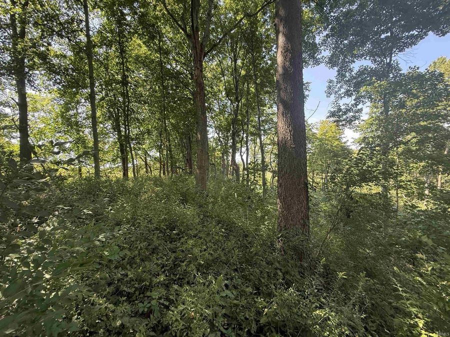 Property Image 31