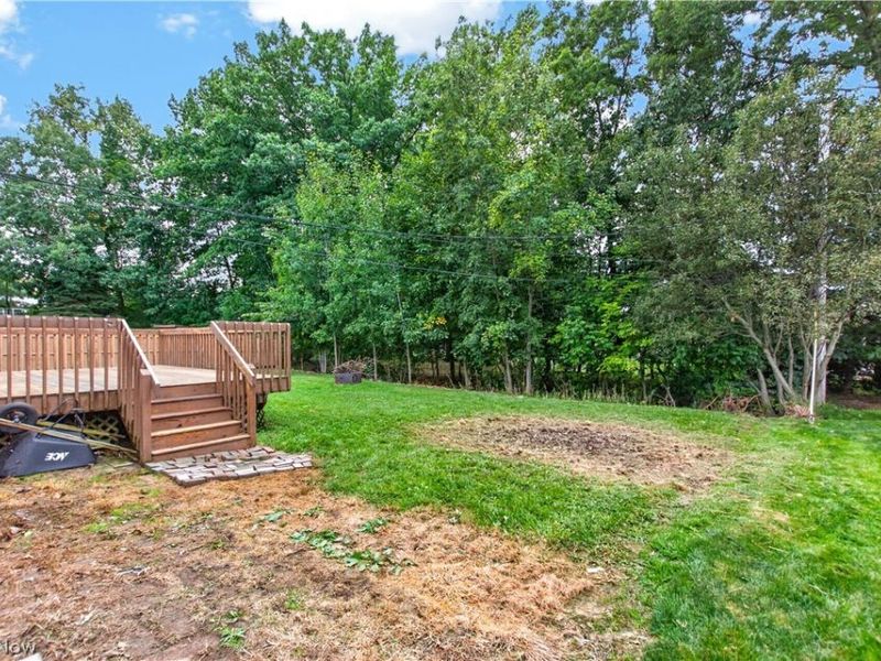 18356 Ash Drive, Strongsville, OH 44149 Photo 41