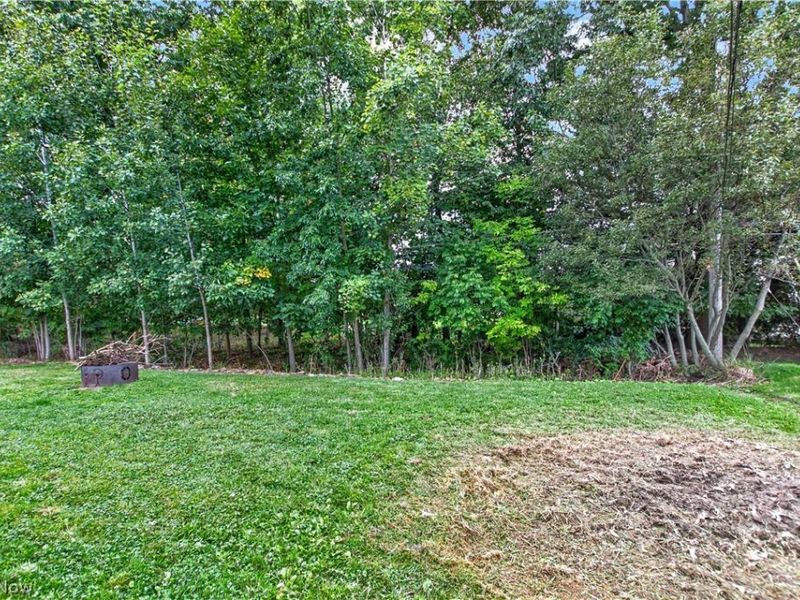 18356 Ash Drive, Strongsville, OH 44149 Photo 42