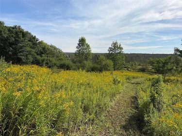 Dye Road , South Dayton, NY 14138