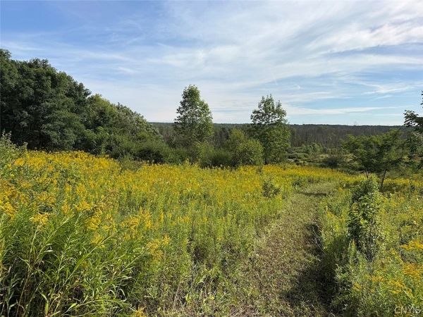 Dye Road , South Dayton, NY 14138