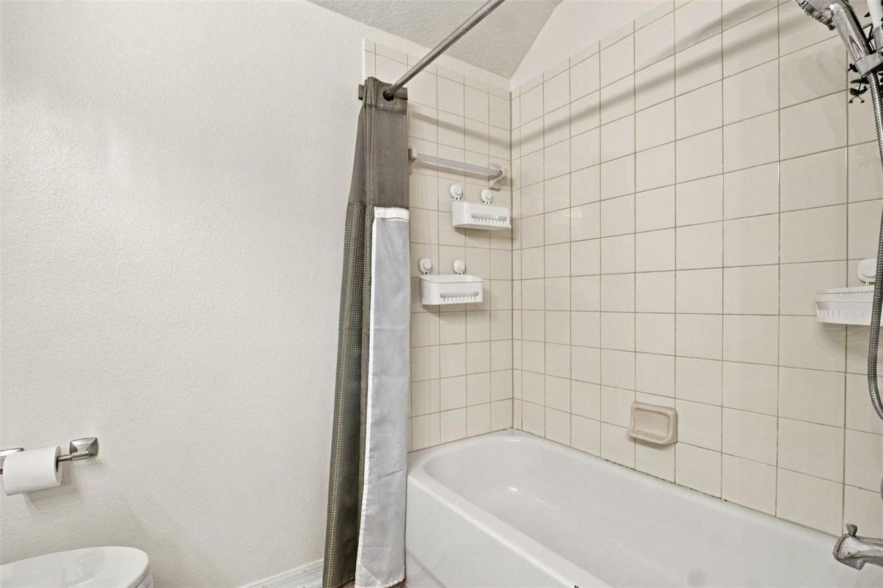 13028 Terrace Springs Drive, Temple Terrace, FL 33637 Photo