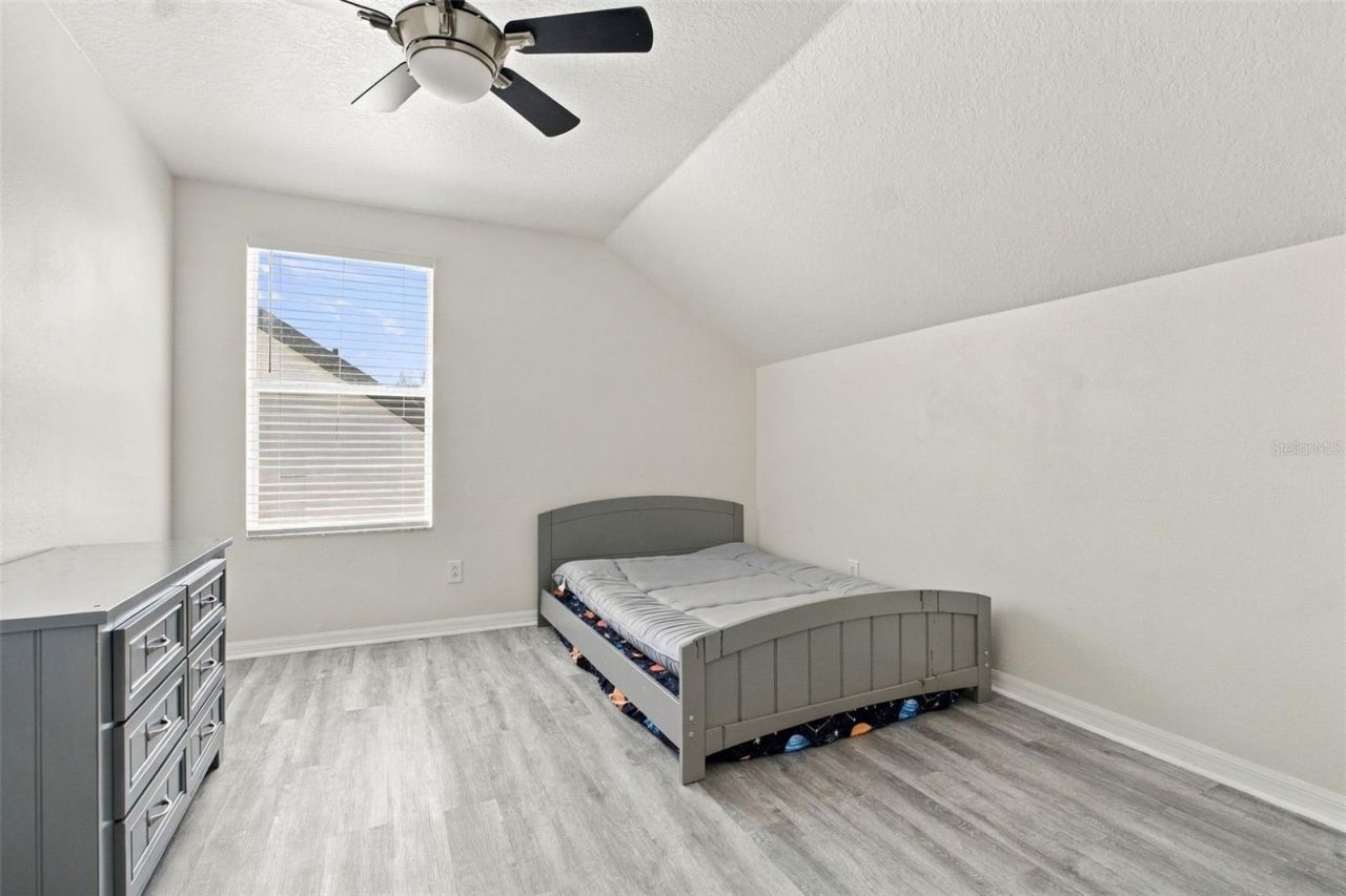 13028 Terrace Springs Drive, Temple Terrace, FL 33637 Photo