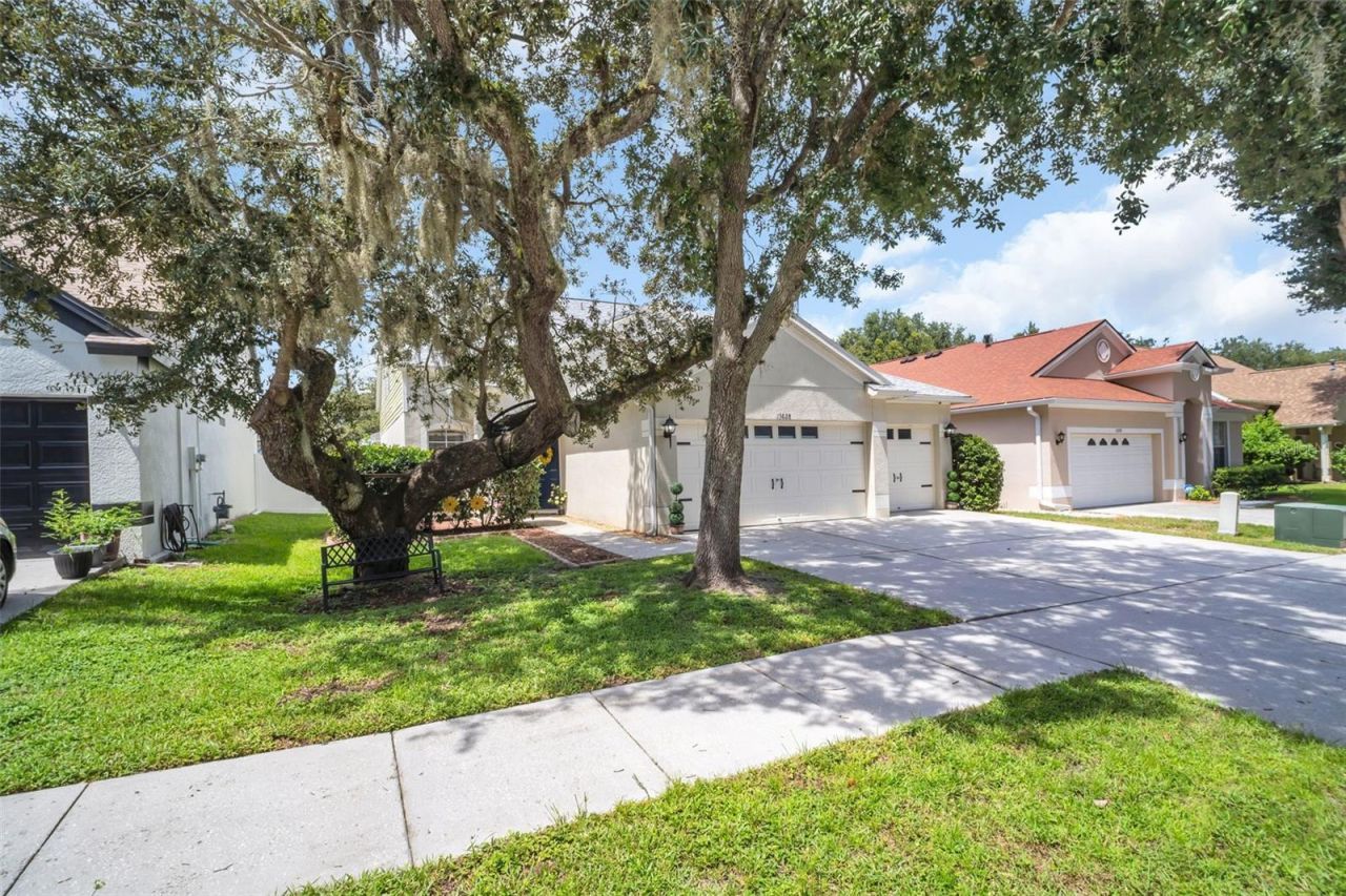 13028 Terrace Springs Drive, Temple Terrace, FL 33637 Photo