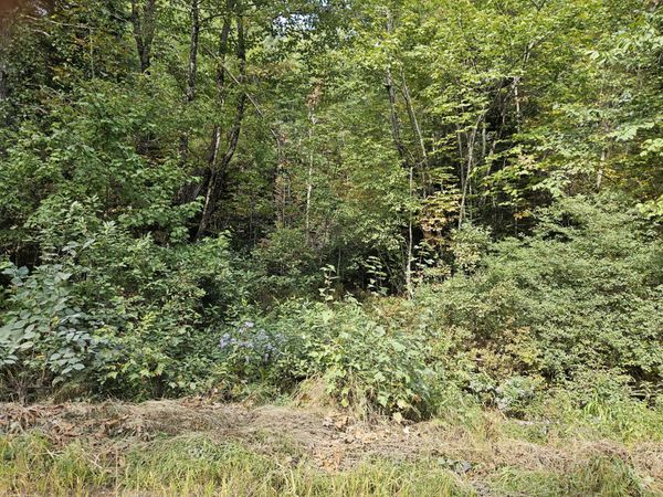 Lot 11.2 Mccorrison Road, Orneville Twp, ME 04463