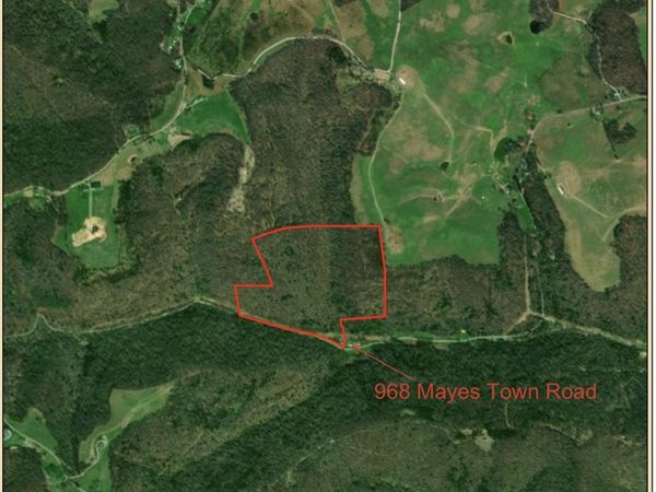 Mayes Town Rd, Speedwell, TN 37870