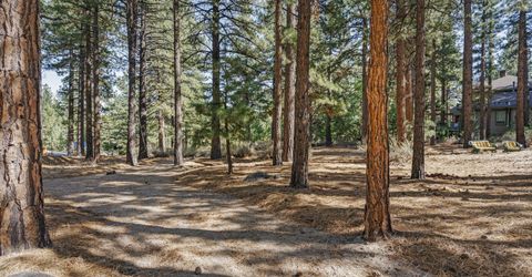 1530 Austrian Pine Road, Reno, NV 89511 Photo