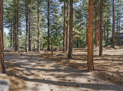 1530 Austrian Pine Road, Reno, NV 89511 Photo