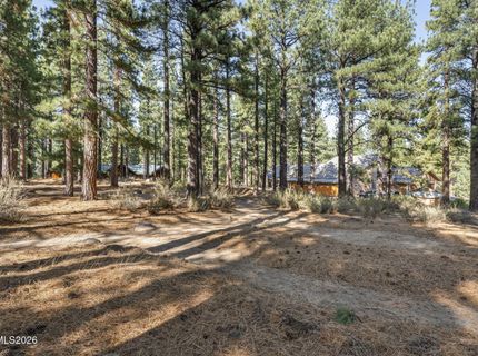 1530 Austrian Pine Road, Reno, NV 89511 Photo