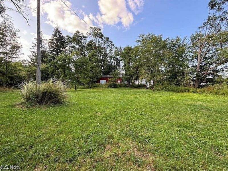 7795 State Route 303, Windham, OH 44288 Photo 4