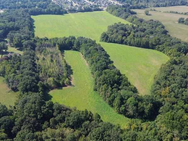 76.34 ACRES TERRY RD, Oakland, TN 38060