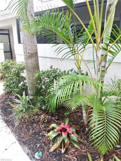 55 Emerald Woods Dr, Unit C9, Naples, FL 34108 Photo