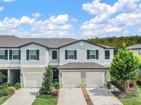 2166 GREAT SAPPHIRE LANE , LUTZ, FL 33558