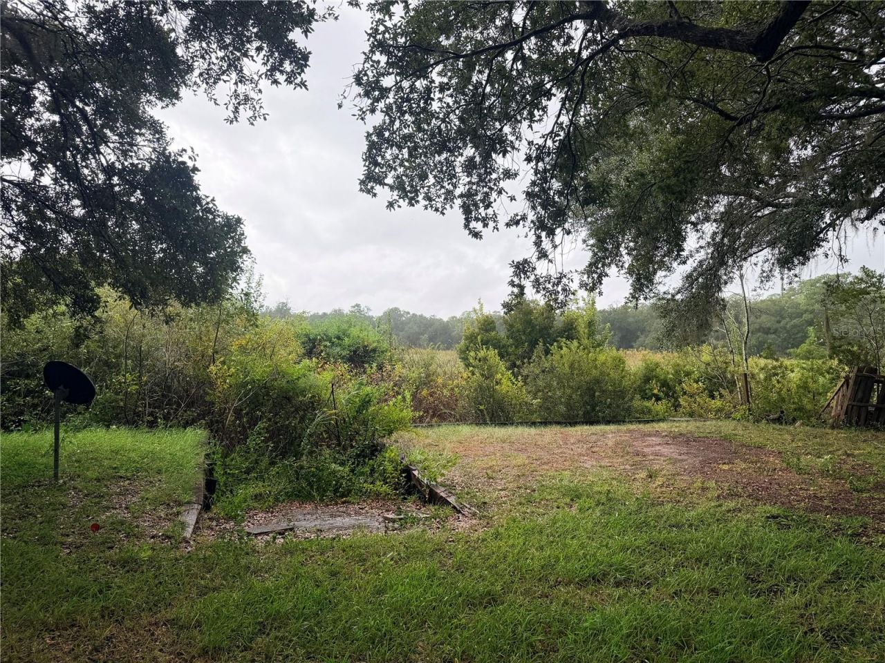 14850 NE 214th Avenue, Salt Springs, FL 32134 Photo