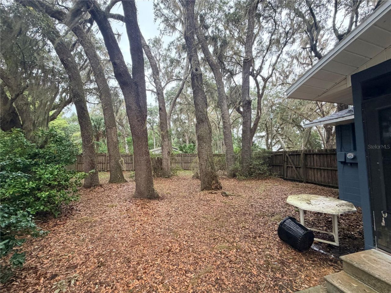 14850 NE 214th Avenue, Salt Springs, FL 32134 Photo