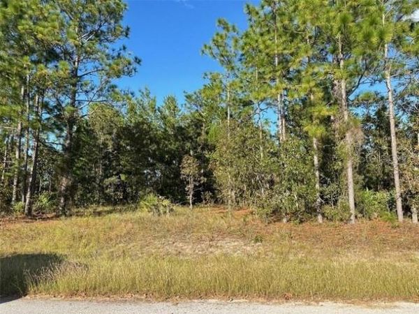 9 & 11 POPPY STREET, HOMOSASSA, FL 34446