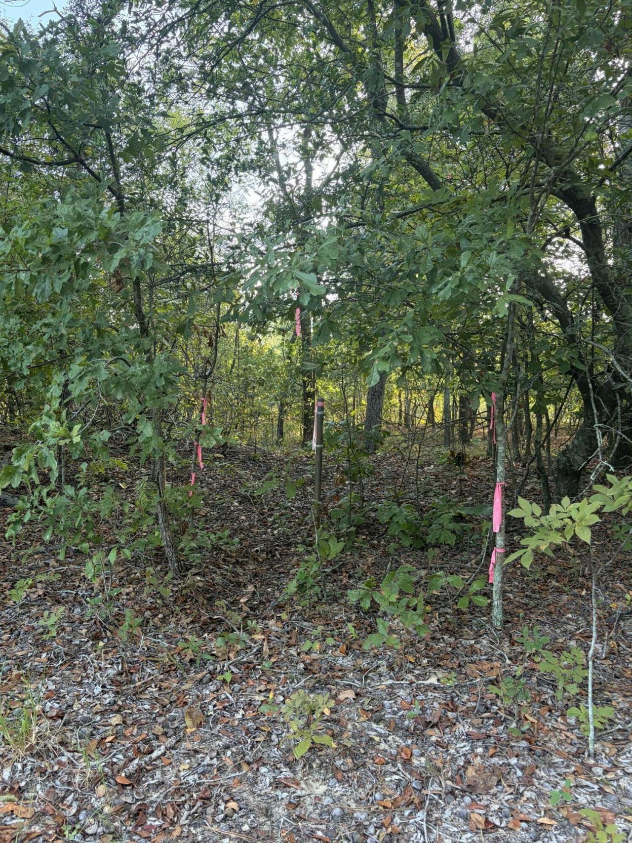 0 Comos Rd Road Photo 7