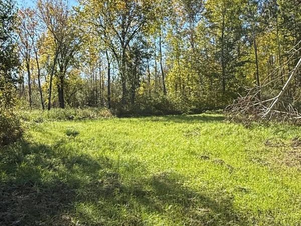 Parcel A Sunflower Road, Kelliher, MN 56650