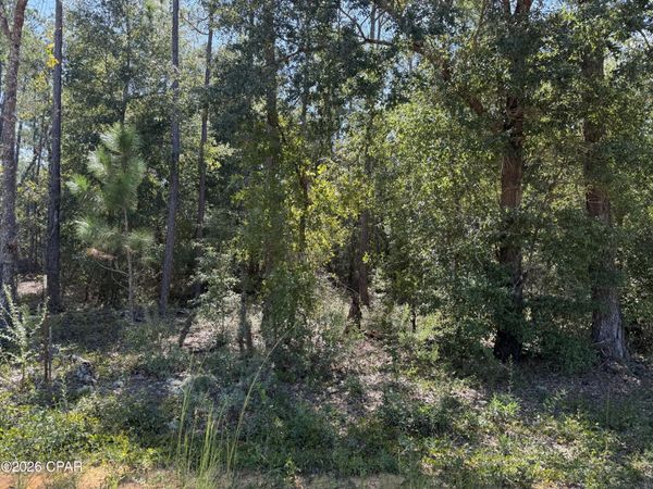 0 Abraham Street , Alford, FL 32420