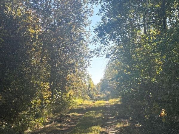 Parcel B Sunflower Road, Kelliher, MN 56650