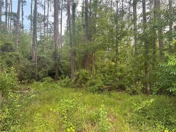 0 RUSSELL TOWN Road , Roseland, LA 70456