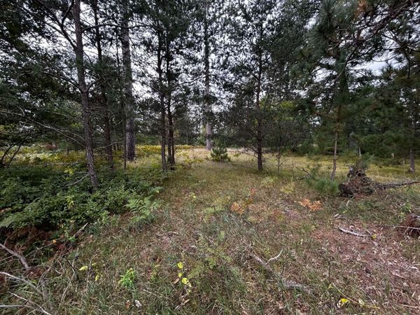 V/L E Hughes Lake Road, Rose City, MI 48654