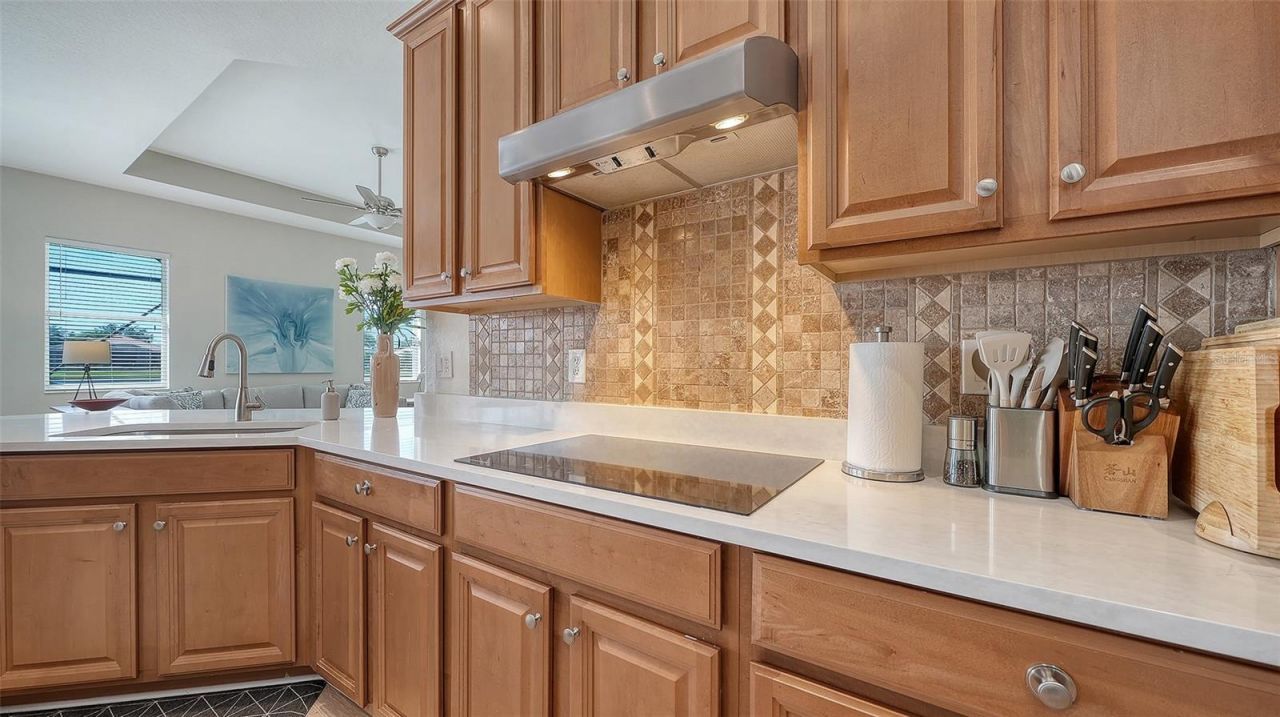 415 Grand Preserve Cove, Bradenton, FL 34212 Photo