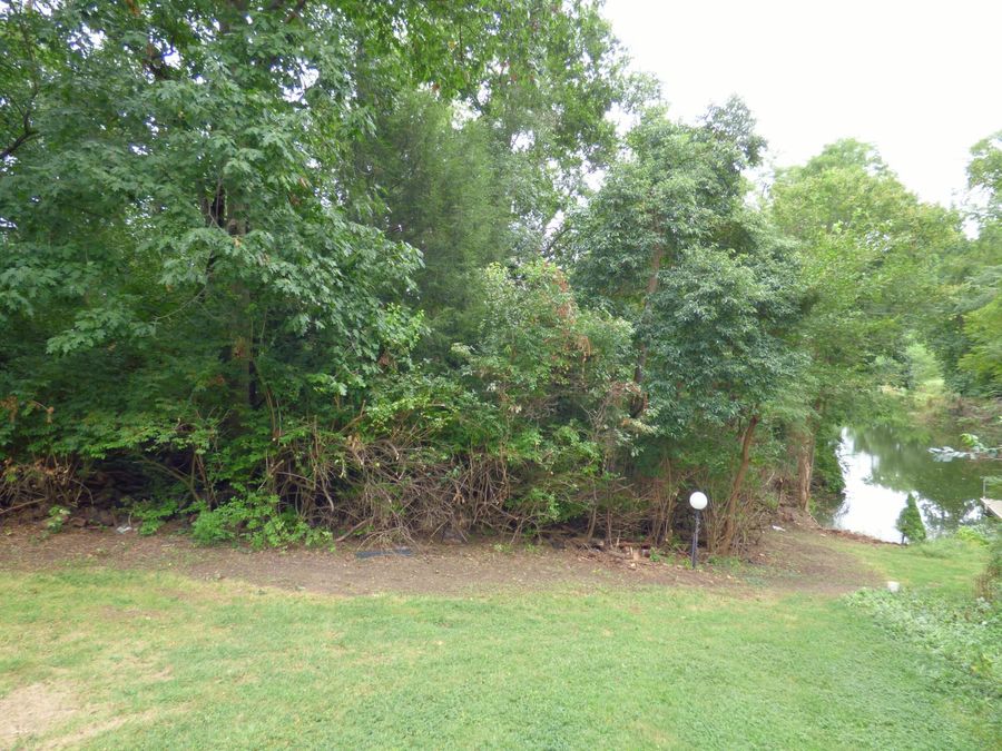 Property Image 44