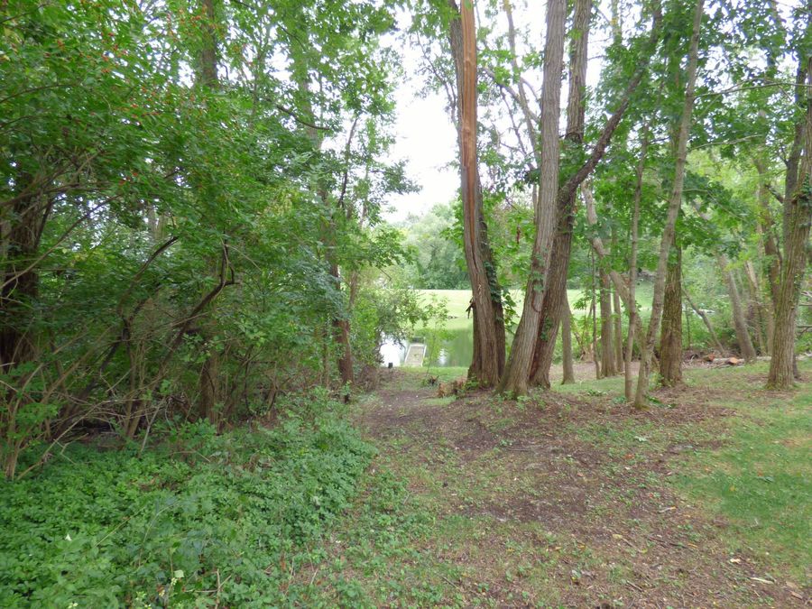 Property Image 47