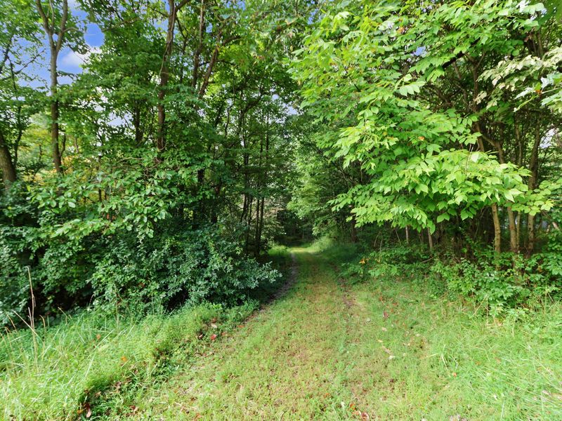 5617 Bunkerhill North Road , Butler, OH 44822 Photo 64