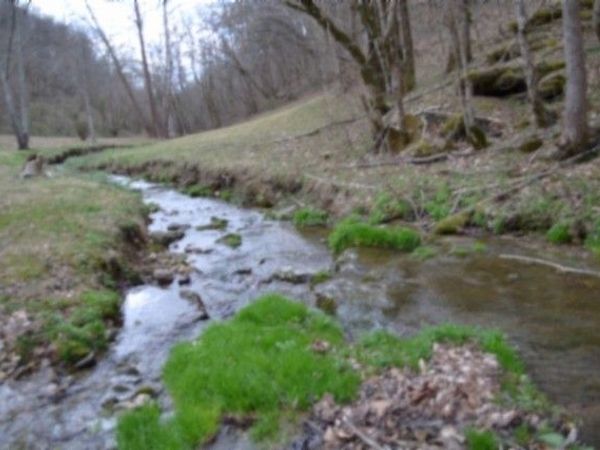 290 Hazel Huffines Ln , Whitleyville, TN 38588