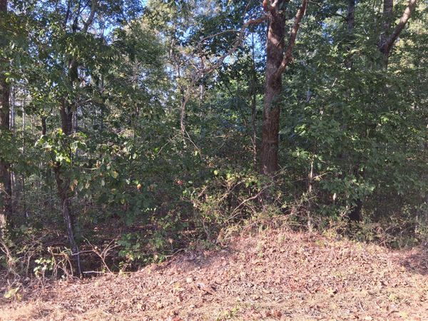 6080 Halls Creek Rd , Waverly, TN 37185