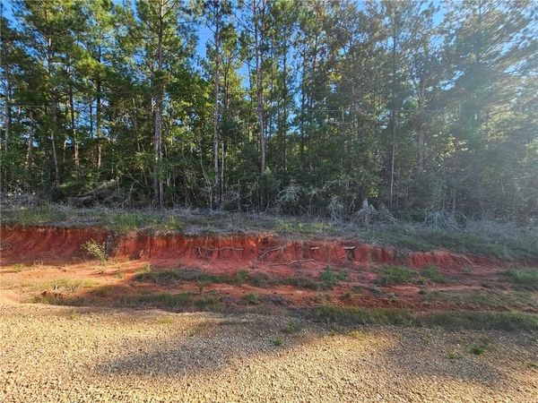 0 MAKINLEY Loop , Amite, LA 70422